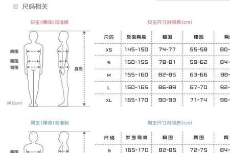 男胸围128的衣服有多大