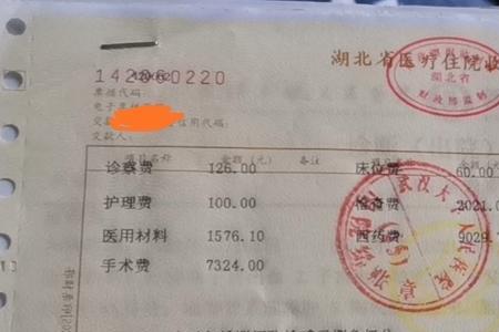 手术费10000块社保报多少