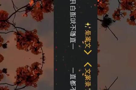 白月光的反面叫什么