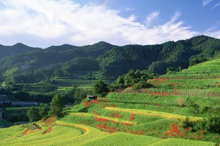 野外风光指什么