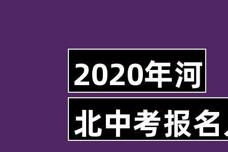 2020山东河北人数