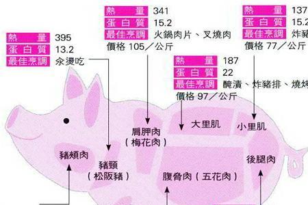 猪肉部位名称及图片