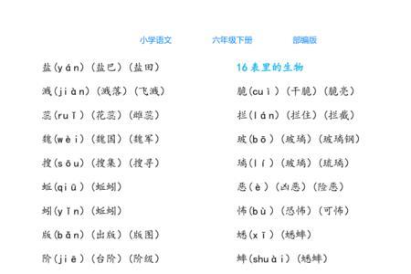 展览组词四个字词语