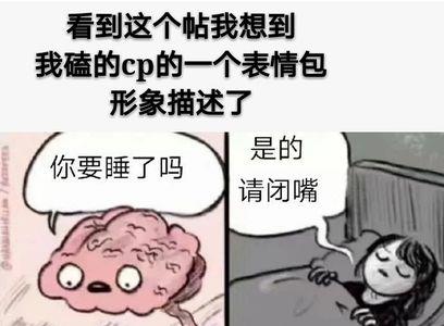 关于磕cp的搞笑句子