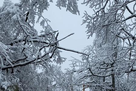 风雪兼程什么意思