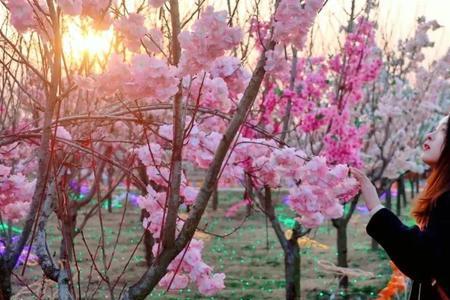 邂逅花神是什么意思