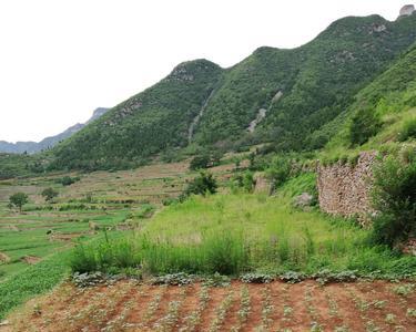 田地荒芜是什么意思解释