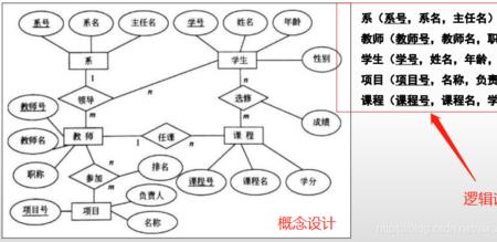 逻辑实体是什么意思