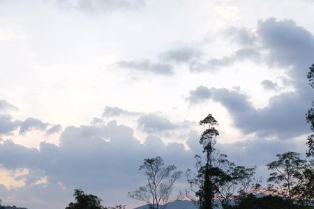 空山夜雨什么意思