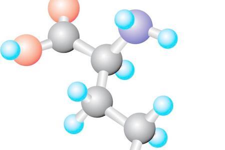 氨基酸分子结构式