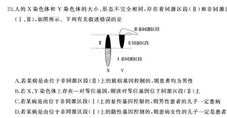 x与y染色体的同源区段有什么特点