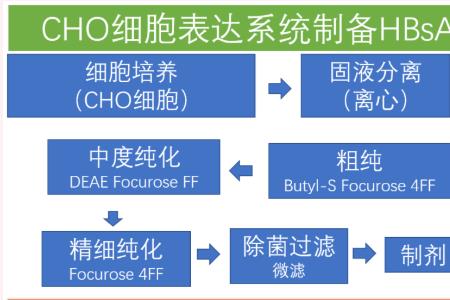 酵母表达系统的优缺点