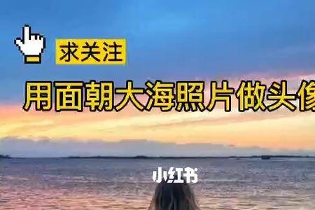 他面对着大海扩句