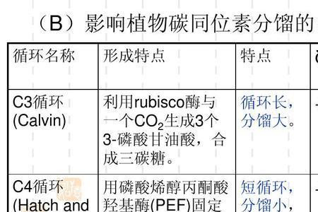 常见的C3、C4植物分别有哪些