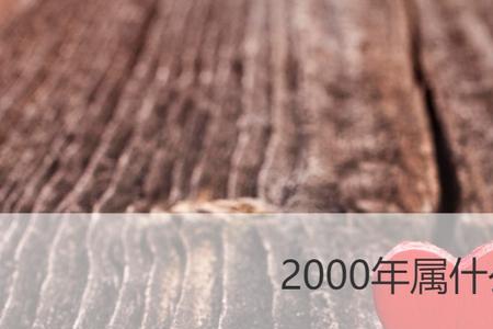 20000年3月6是属什么的