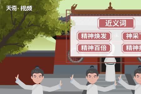 神采是什么意思