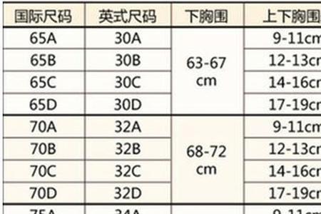 胸围c是多大参照物