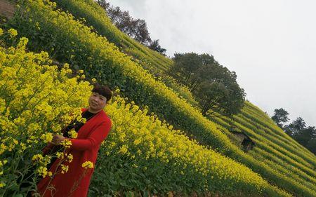 一川春水润心田是什么生肖