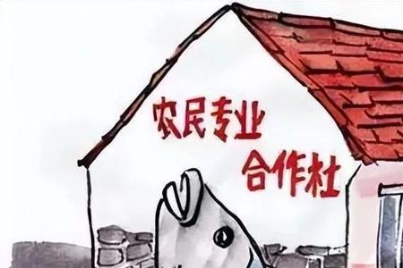 什么是家庭主体公司