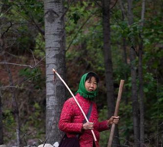 女人放羊顺口溜