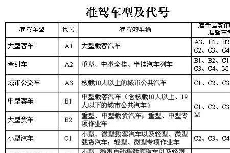 逆行与准驾车型不符哪个责任大