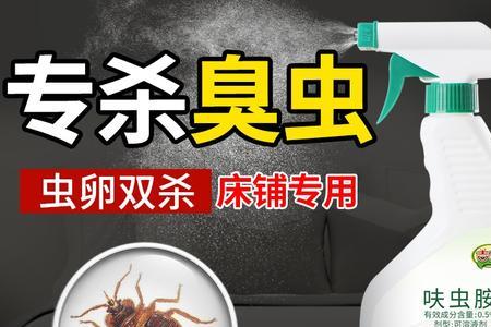 臭虫最怕3个克星分别是什么