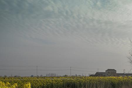 田园摄影的前景