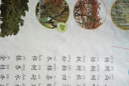 树之歌读音不准的字