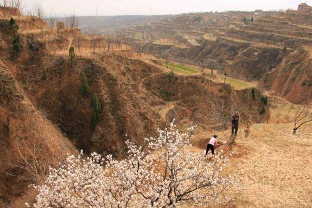 能人夸下生，终归黄土地．什么意思