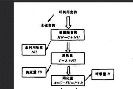 生产力再生产什么意思