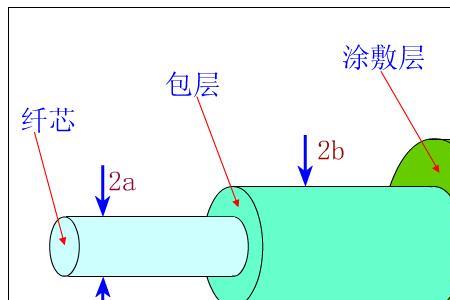 UTP相对分子质量