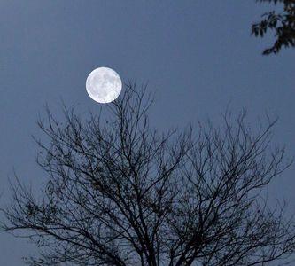 夜空中升起一轮明月仿佛什么