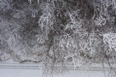 第一次下雪叫什么