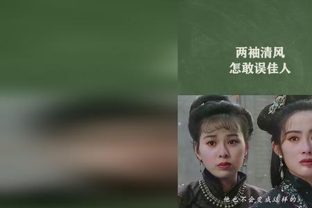 两袖清风怎敢误佳人文案