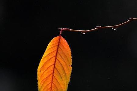 春风秋雨愁煞人是什么意思