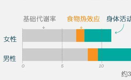 正常成年人步行五分钟能走多远