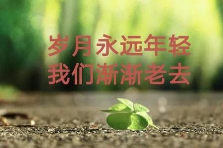 一点活没干就完了经典语录