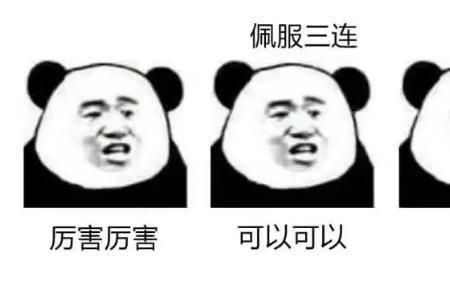 nsdd是什么网络语