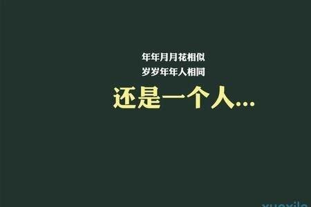 现在的女人单身语录完整版