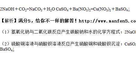 二氧化碳和硫酸氢钠方程式