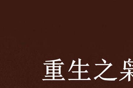 重生2008年到2010年的小说