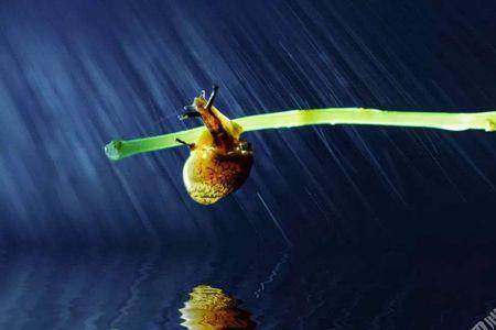 谷雨剧目表达什么情感