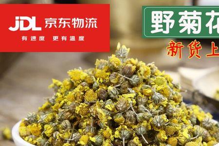 小菊干茶叶的泡法