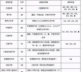 c1驾照换证体检需要上午嘛