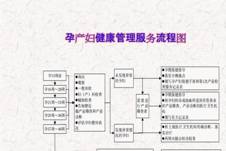 服务流程的基本内容