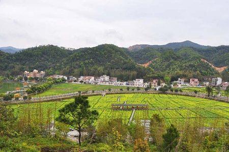 红山村票价