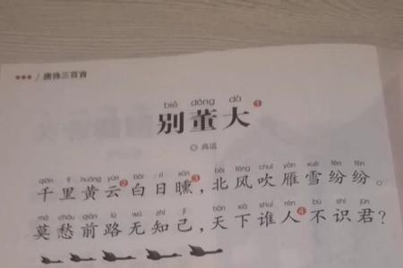 别董大古诗意思30个字