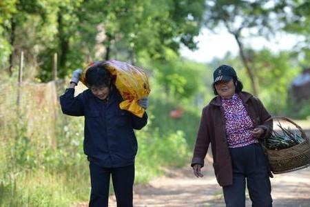 女人进城了谁还会去种庄稼