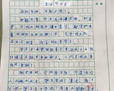 第一次的感受小练笔五年级100个字