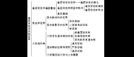 生物合成人和重组人有区别吗